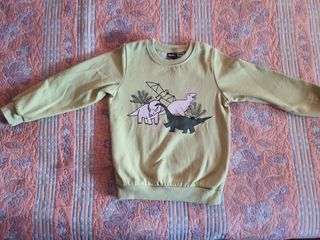 Sudadera niño dinosaurios Lupilu 4-5 años