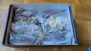 7 Figuras Belén 13 cm