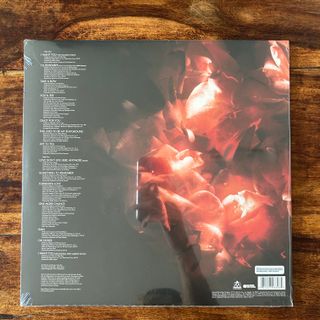 Madonna-Something to Remember (vinilo LP)