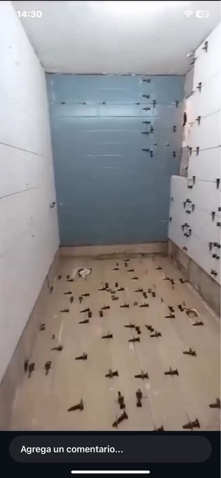 Servicios de albañilería y reformas