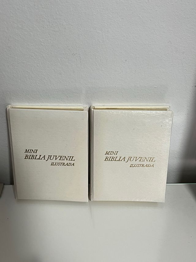 Mini Biblia ilustrada.