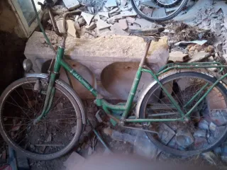 Bicicleta BH clásica verde