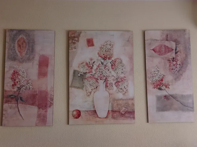 Set 3 Cuadros Decorativos Florales