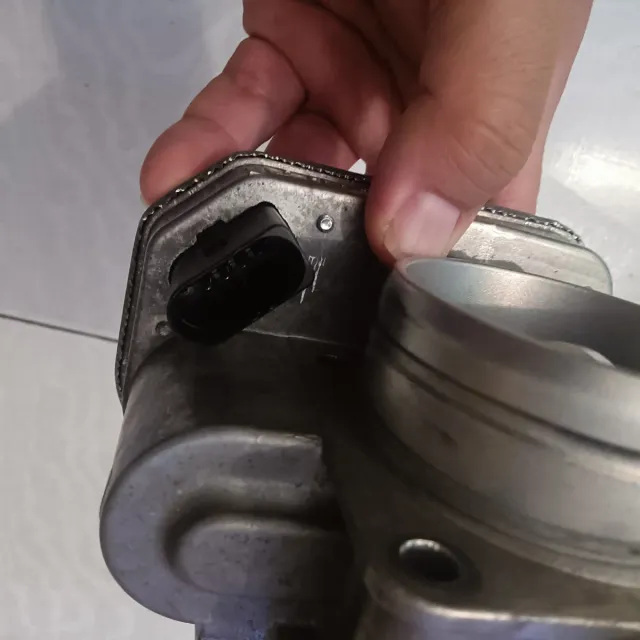 Mariposa Admisión Ibiza 6L