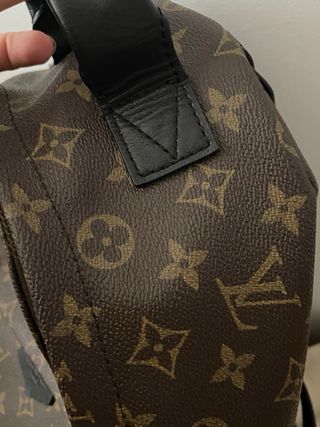Mochila Louis Vuitton Palm Springs Marrón/Negra