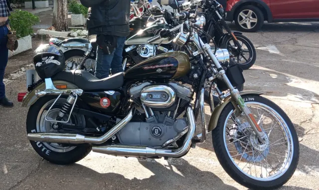 Harley Davidson Sportster 883 Custom