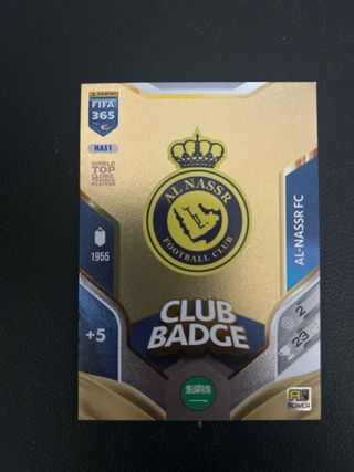 Panini FIFA 365 Cards (2025/2026)