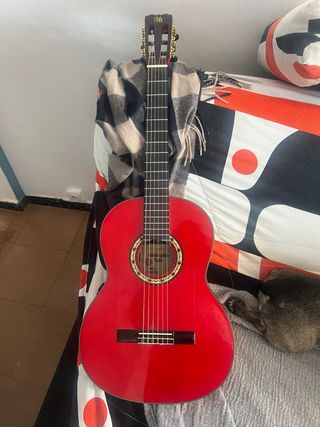 Guitarra Modesto Malla Roja con fishman Y OS1