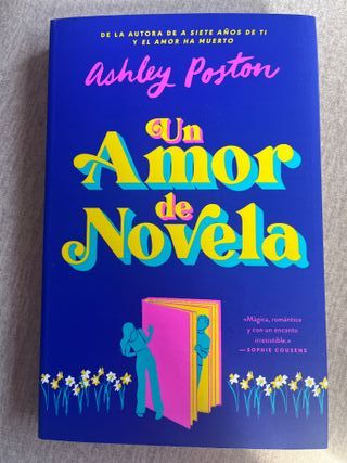 Un amor de novela