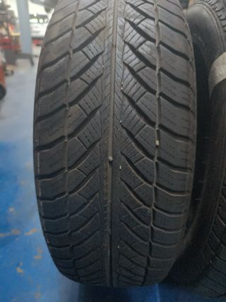 Neumáticos Goodyear 205/60R16 92H M+S