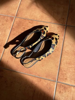 Bailarinas Mujer Talla 39 Leopardo