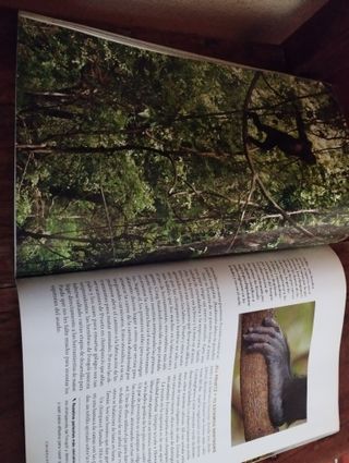 Revista National Geographic Abril 2008 Vol22 Num 4