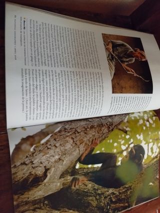 Revista National Geographic Abril 2008 Vol22 Num 4