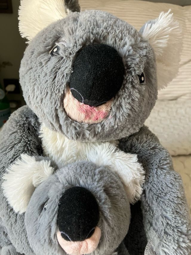 Peluche Koala IKEA SÖTAST