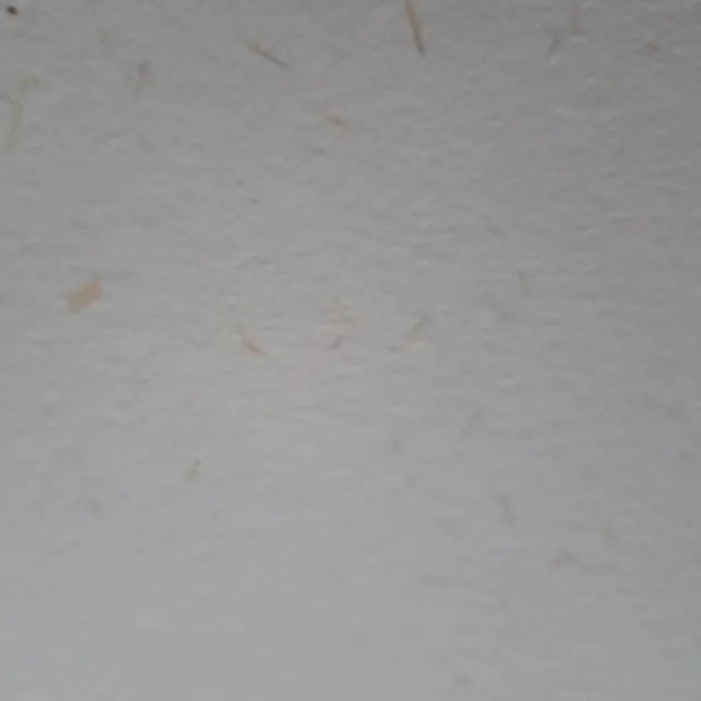 Papel artesano con mezcla de paja. 14 hojas.