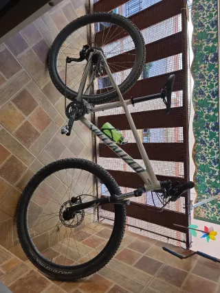 Specialized Rockhopper Rodado 29