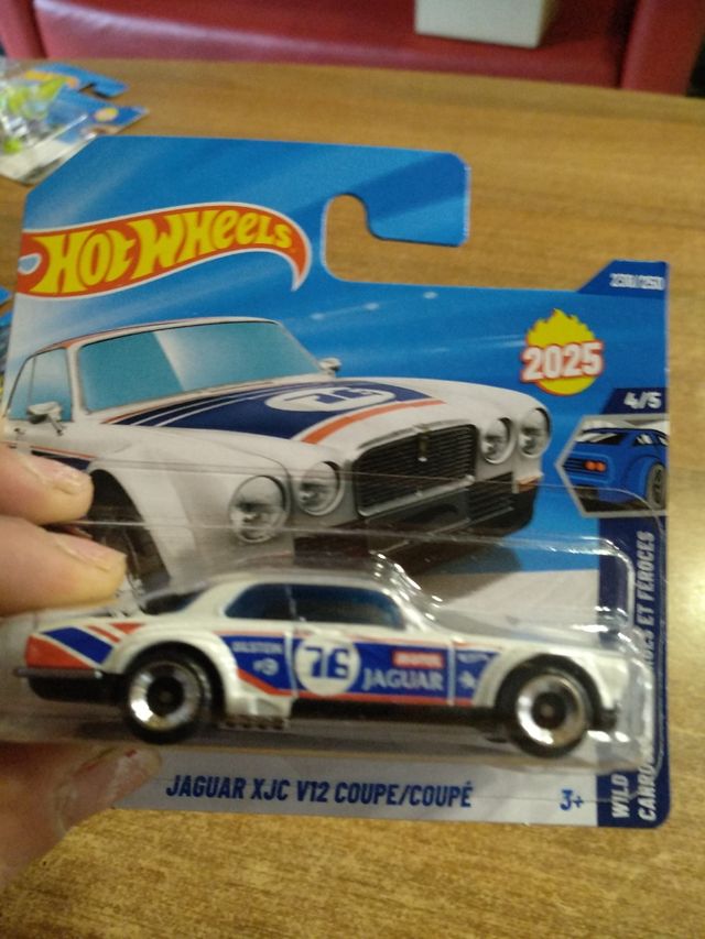 10 Coches Hot Wheels
