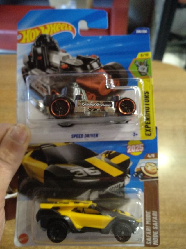 10 Coches Hot Wheels