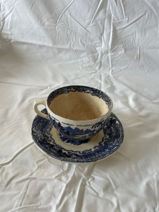 Taza y plato Pickman Cartuja Sevilla 1892/1899