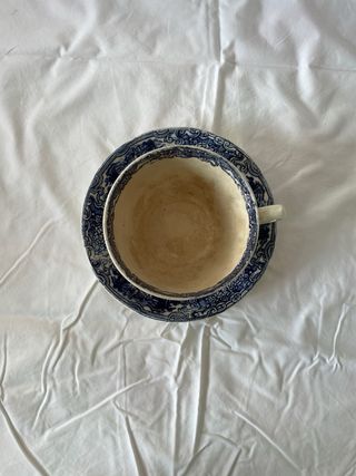 Taza y plato Pickman Cartuja Sevilla 1892/1899
