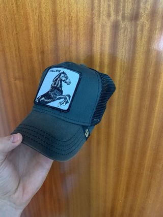 Gorra Goorin Bros Gallo