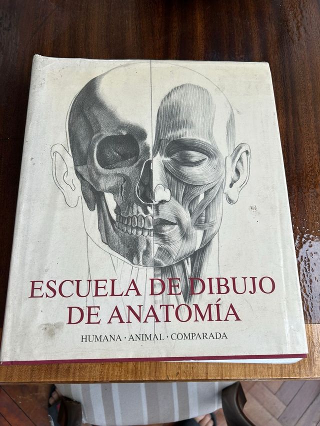 Escuela de Dibujo de Anatomía – Humana · Animal