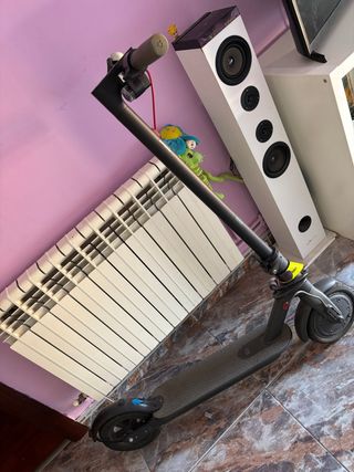 Patinete Eléctrico Xiaomi