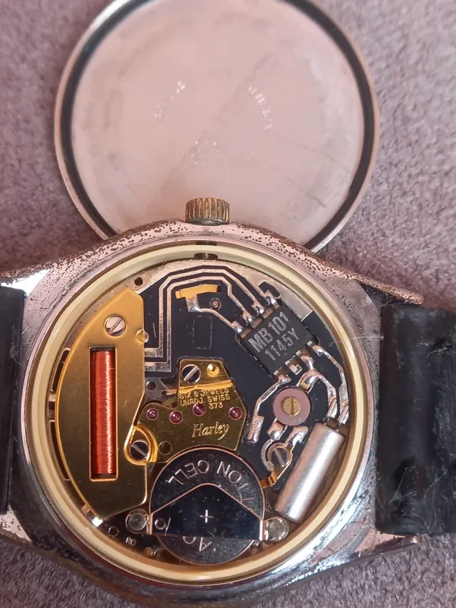 Reloj Bradley Epcot Center Cuarzo Dorado