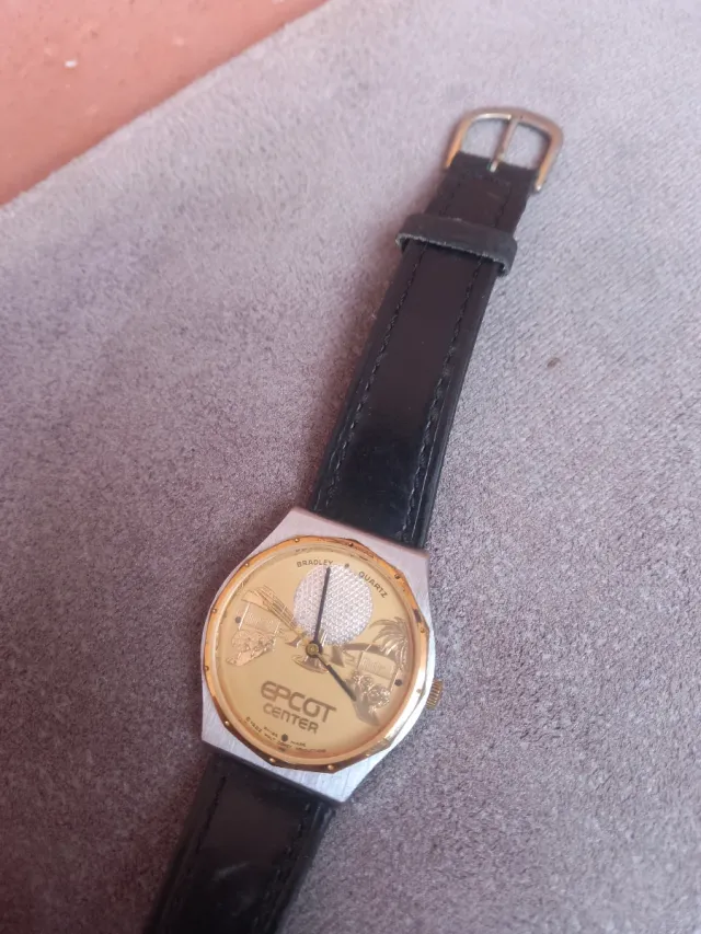 Reloj Bradley Epcot Center Cuarzo Dorado