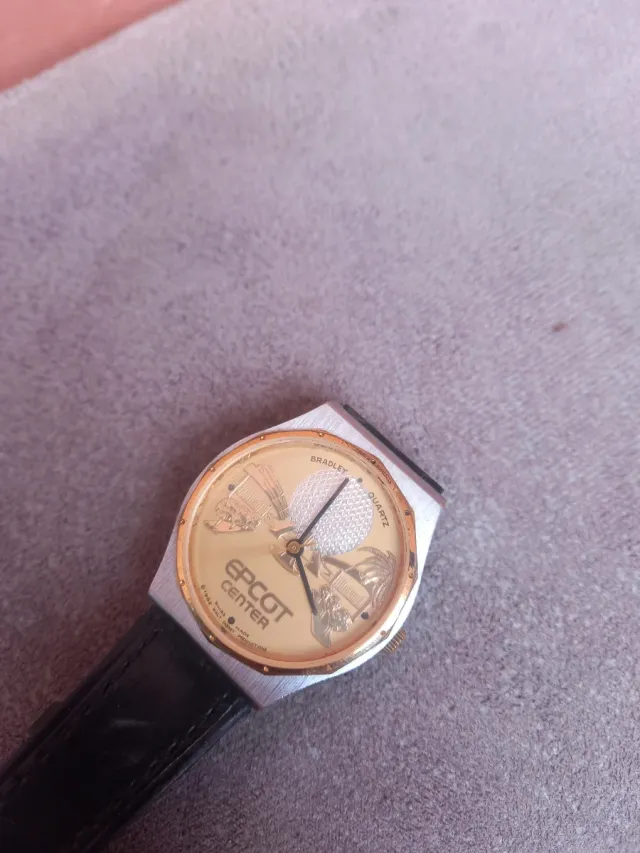 Reloj Bradley Epcot Center Cuarzo Dorado