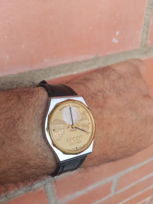 Reloj Bradley Epcot Center Cuarzo Dorado