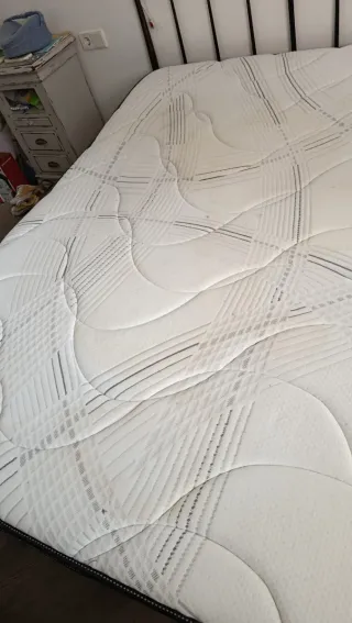 Limpieza profesional de sofás a domicilio