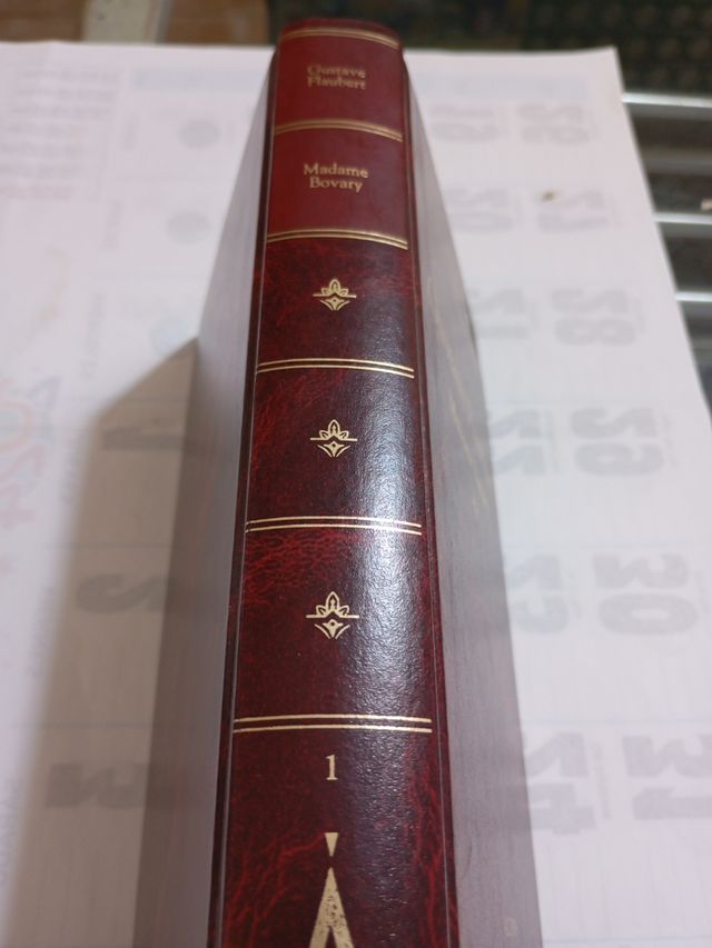 MADAME BOVARY by GUSTAVE FLAUBERT