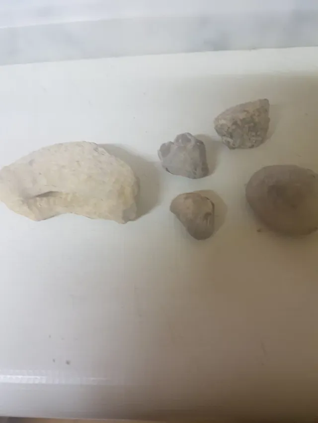 Maletín de minerales y fósiles