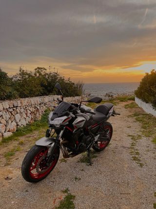 Kawasaki Z650 Sport 2023