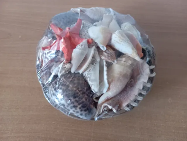 Cesta Decorativa Caracolas y Conchas