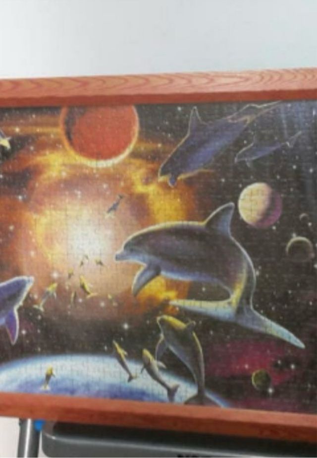 Puzzle Cuadro Delfines Espacio