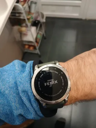 Garmin Fenix 7 Smartwatch Verde/Plata