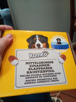 Piscina per cani Romeo nuova