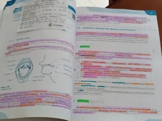 Libro Diseño Funcional de Prótesis Dentales