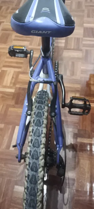 Bicicleta Giant XTC Rueda 20