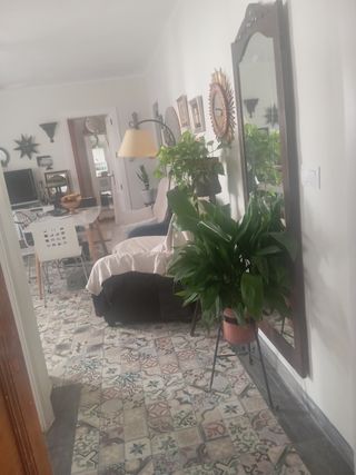 Piso 3 habitac. p compartir con otra profesora
