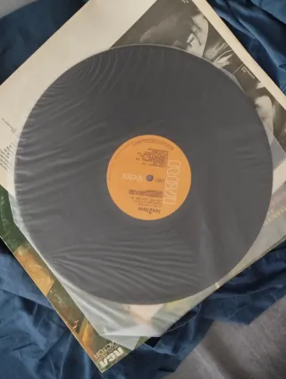 David Bowie - Ziggy Stardust Vinilo LP