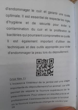 Taxidermie Fourreur Tannage d’une peau de renard