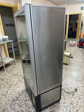 Armario expositor congelación