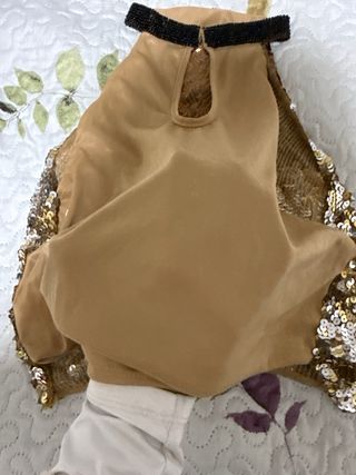 Top brillante dorado y plateado