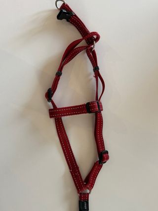 kit 2 Abrigos, 2 arneses perro Talla M, collar luz