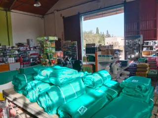 Alquiler Vareador campagnola bateria aceituna