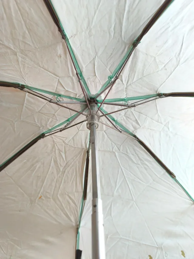 Mini Paraguas Mr. Wonderful