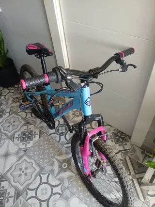 Bicicleta Infantil Megamo 20